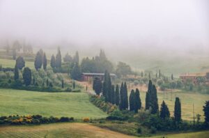 Montalcino